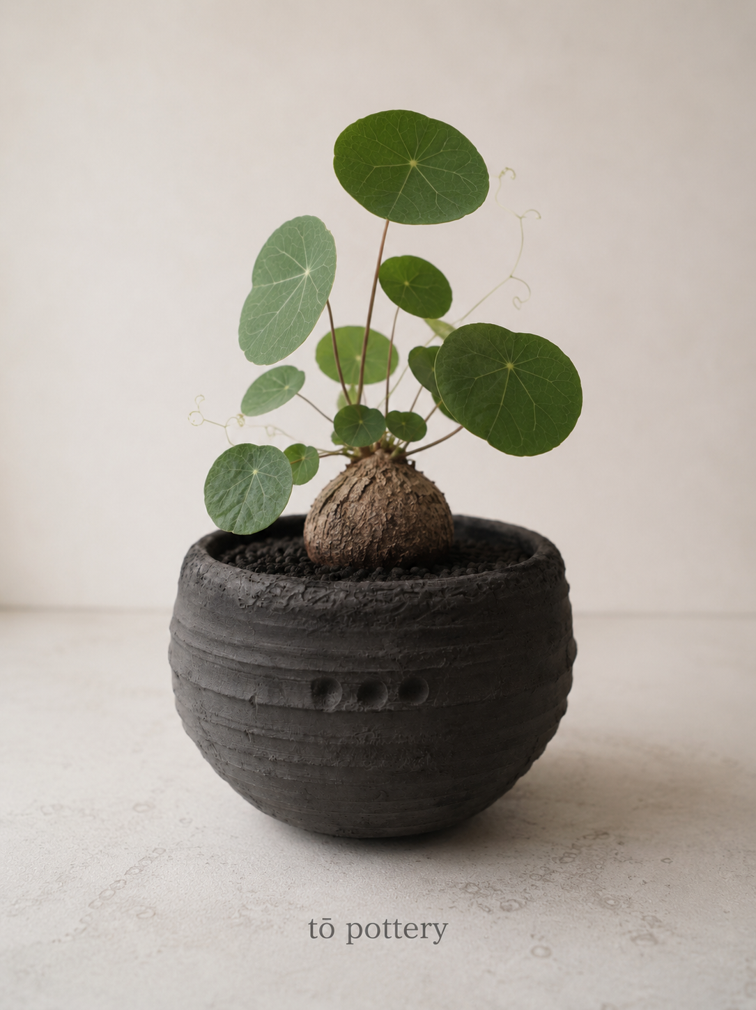 tō pottery